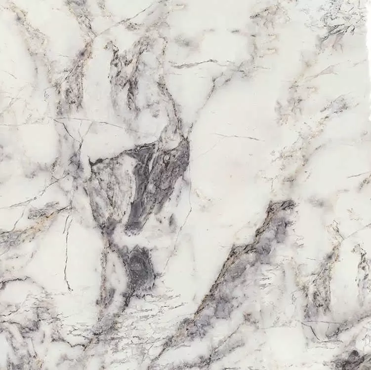 Керамогранит El Molino Regency Blanco 59x59