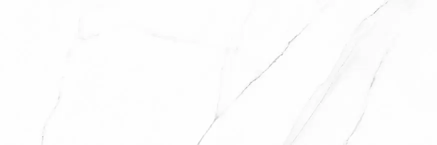 Керамическая плитка Vivienne TWU12VIV00R для стен 24,6x74