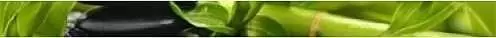 Бордюр настенный Golden Tile Релакс Green 3