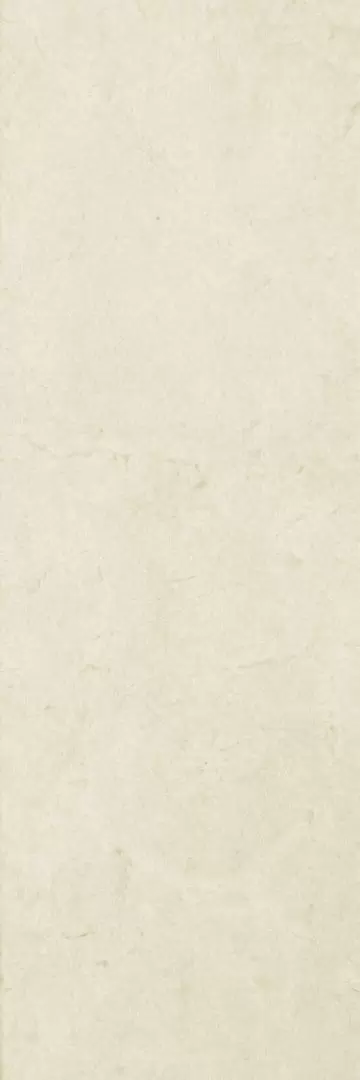 Керамическая плитка Aston для стен 25x75
