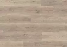 Дуб премиум