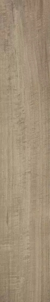 Керамогранит Ragno Woodstyle Acero 15