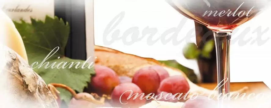 Декор настенный Cerrol Imperia Cocina Centro