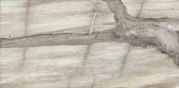 Керамогранит Emil Ceramica Petrified Tree Core grey panther lapp