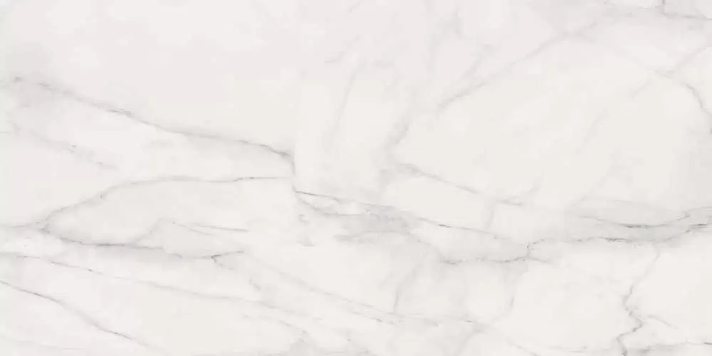 Керамогранит Provenza Bianco D`Italia Calacatta Lapp. Lucido 118