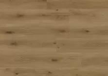 Дуб Сатурн