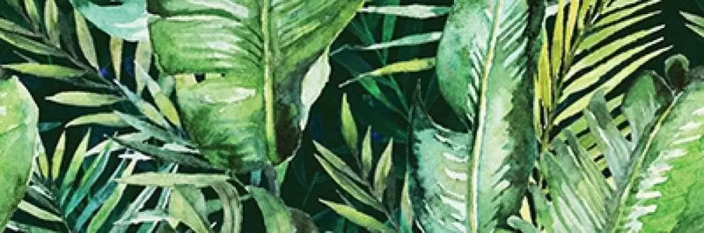 Декор настенный Ceramica Konskie Braga Tropic B Rect