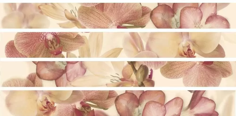 Бордюр настенный Absolut Keramika Aure orchides marron Orchides